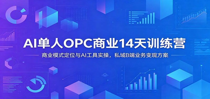 AI单人OPC商业14天训练营：商业模式定位与AI工具实操，私域B端业务变现方案-大伟资源网