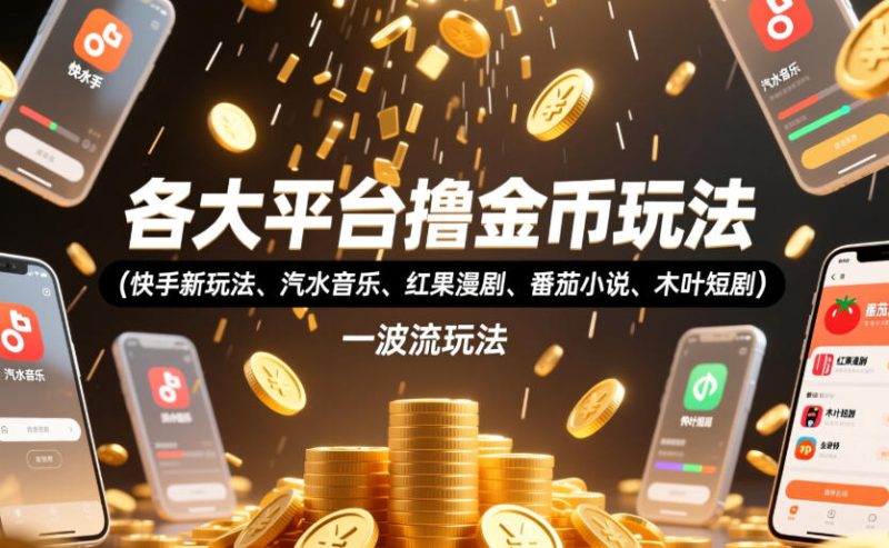 各大平台撸金币玩法(快手新玩法、汽水音乐、红果漫剧、番茄小说、木叶短剧)，一波流玩法(收费398元的教程)-大伟资源网