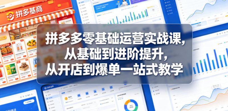 拼多多零基础运营实战课，从基础到进阶提升，从开店到爆单一站式教学-大伟资源网