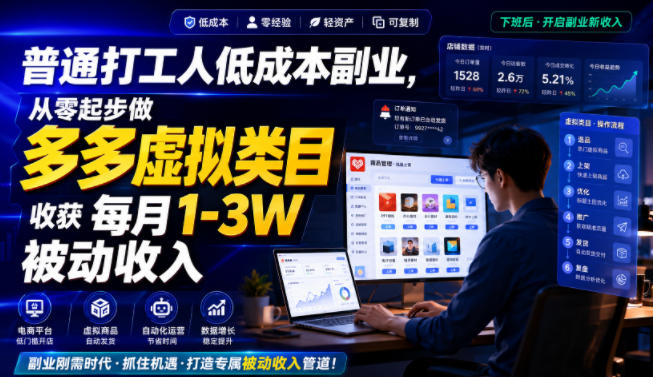 普通打工人低成本副业，从零起步做多多虚拟类目，收获每月1-3W被动收入【揭秘】-大伟资源网