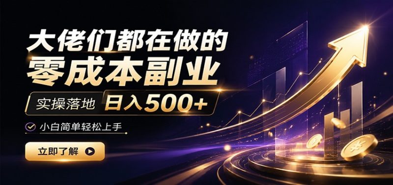 大佬们都在做的零成本副业，实操落地日入500+，小白一秒上手-大伟资源网