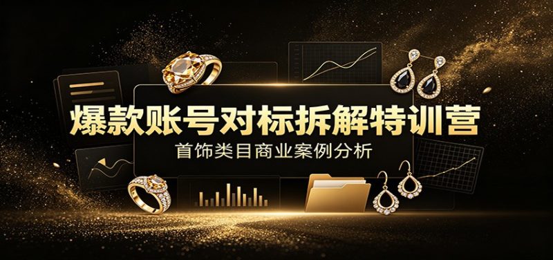 爆款账号对标拆解特训营：首饰类目商业案例分析，配套完整资料内容-大伟资源网