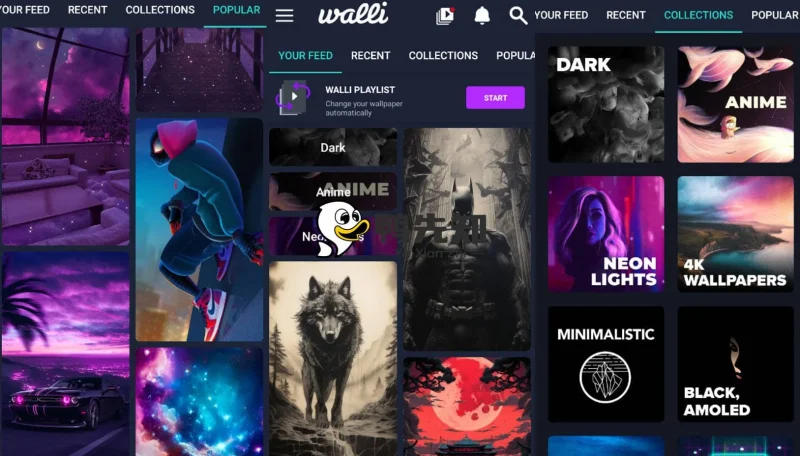 Walli 4K v2.13.2 4K壁纸，原创和高品质高清壁纸的集合，解锁高级版-大伟资源网