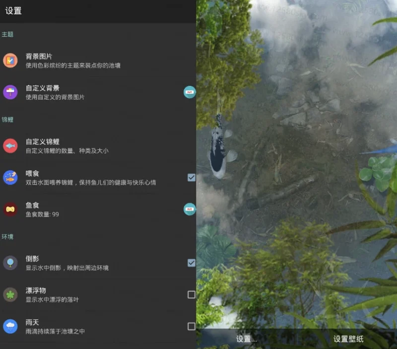 Water Garden 鱼池 v2.08，逼真的锦鲤池塘动态壁纸-大伟资源网