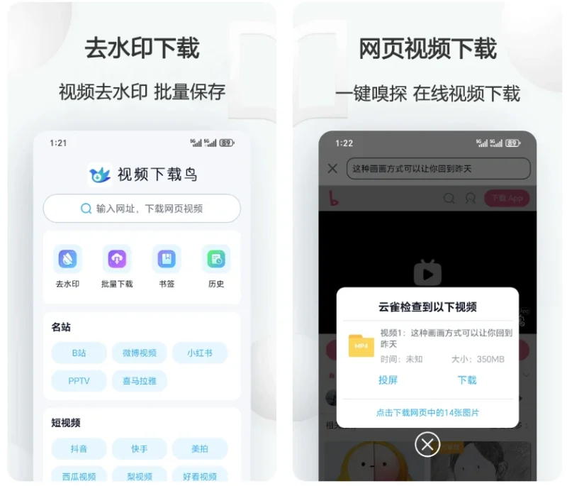 视频下载鸟 v20.06 高级版-大伟资源网