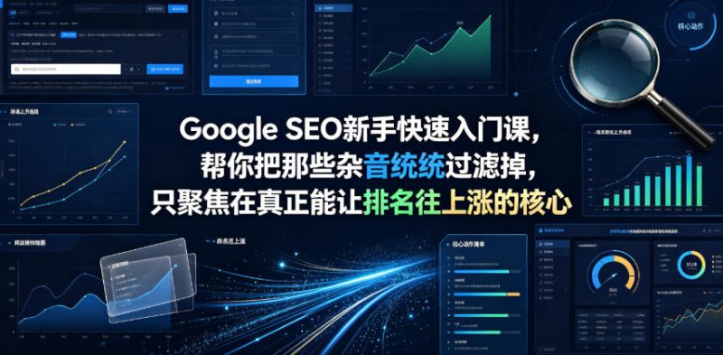 Google SEO新手快速入门课，帮你把那些杂音统统过滤掉，只聚焦在真正能让排名往上涨的核心动作【原创双语字幕】-大伟资源网