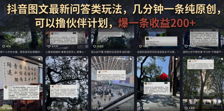 抖音图文最新问答类玩法，几分钟一条纯原创，可以撸伙伴计划，爆一条收益200+-大伟资源网
