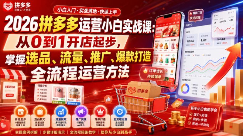 2026拼多多运营小白实战课：从0到1开店起步，掌握选品、流量、推广、爆款打造全流程运营方法-大伟资源网