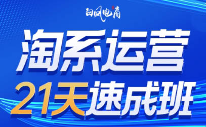 白凤电商·淘系运营21天速成班(更新7月)-大伟资源网