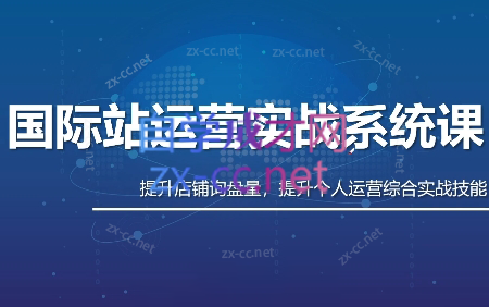 白老师·国际站运营实战系统(高质量询盘增长课)(更新)-大伟资源网