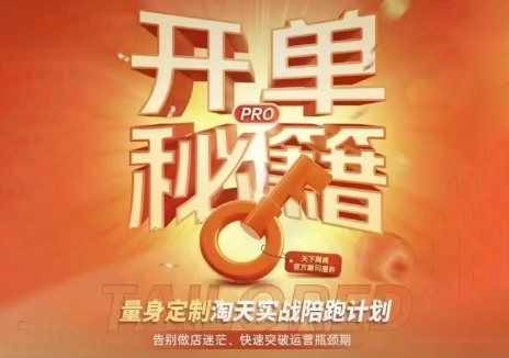 天下网商·淘宝天猫陪跑计划(更新7月)-大伟资源网
