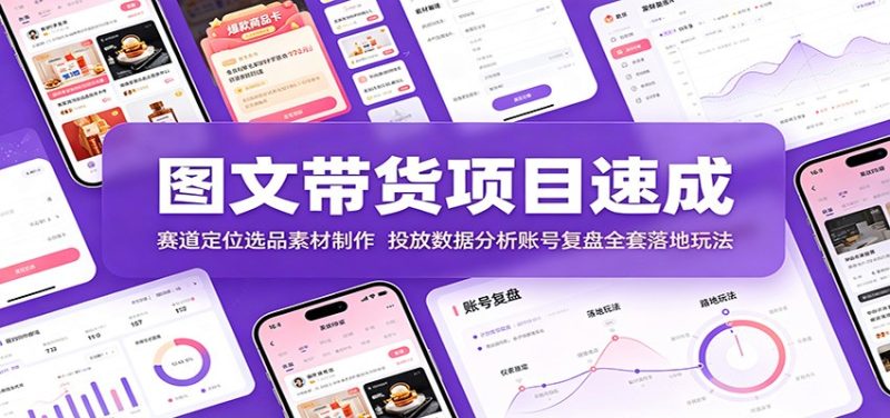 图文带货项目速成：赛道定位选品素材制作，投放数据分析账号复盘全套落地玩法-大伟资源网