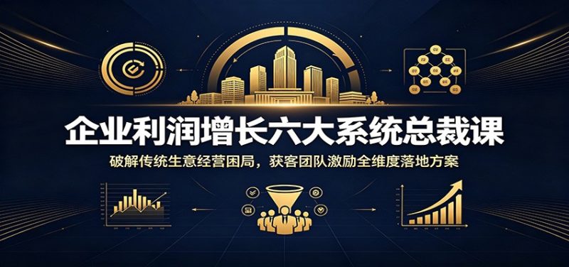 企业利润增长六大系统总裁课：破解传统生意经营困局，获客团队激励全维度落地方案-大伟资源网