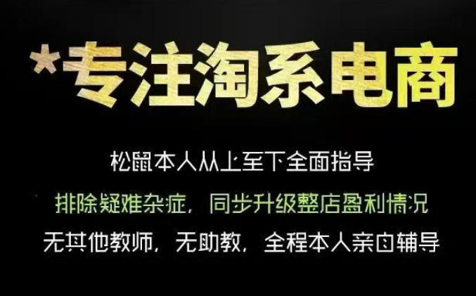 松鼠会电商VIP课程，从基础布局到高阶优化，助你掌握淘宝运营逻辑，提升店铺流量与转化(更新0711)-大伟资源网