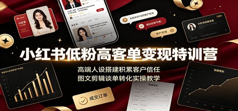小红书低粉高客单变现特训营：高端人设搭建积累客户信任，图文剪辑谈单转化实操教学-大伟资源网