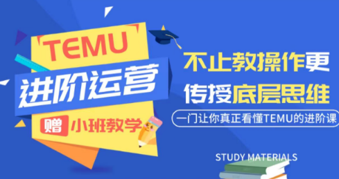 阿卡林·TEMU运营课程(基础+进阶)-大伟资源网