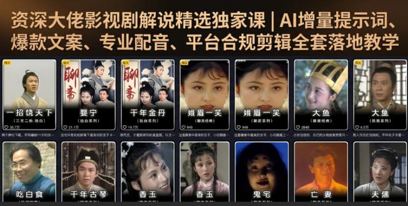资深大佬影视剧解说精选独家课｜AI增量提示词、爆款文案、专业配音、平台合规剪辑全套落地教学-大伟资源网