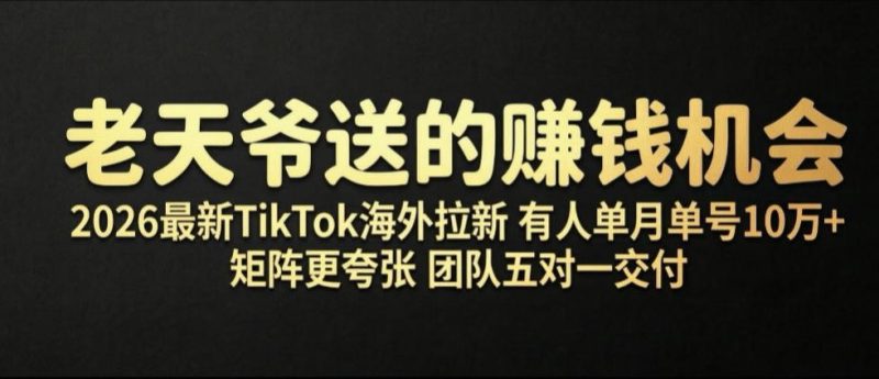 老天爷送的賺钱机会！2026最新TikTok海外拉新，有人单月单号10W+，矩阵更夸张，团队交付【揭秘】-大伟资源网