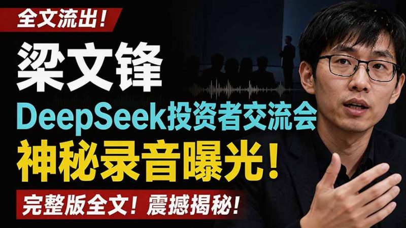 全文流出梁文锋DeepSeek投资者交流会神秘录音曝光，感兴趣的抓紧看-大伟资源网