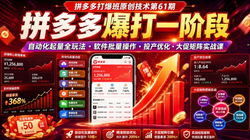 拼多多打爆班原创技术第61期，拼多多爆打一阶段，自动化起量全玩法・软件批量操作・投产优化・大促矩阵实战课-大伟资源网