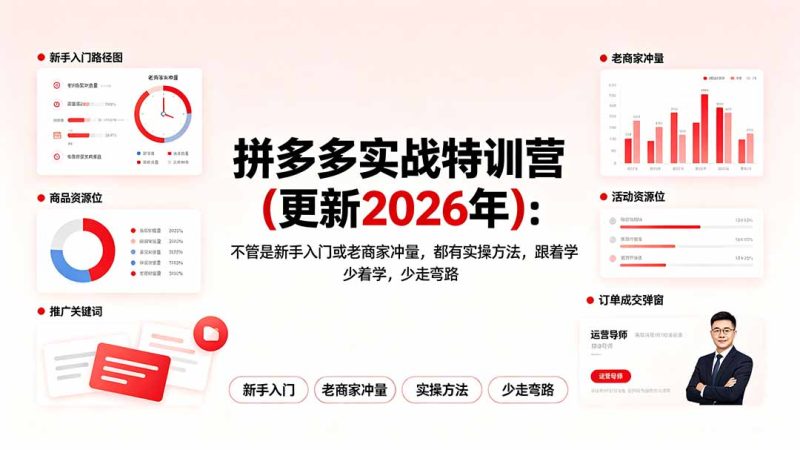 拼多多实战特训营(更新2026年-大伟资源网