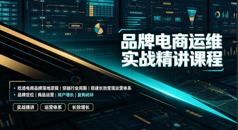 品牌电商运维实战精讲课程｜吃透电商品牌落地逻辑、穿越行业周期、搭建长效变现运营体系-大伟资源网