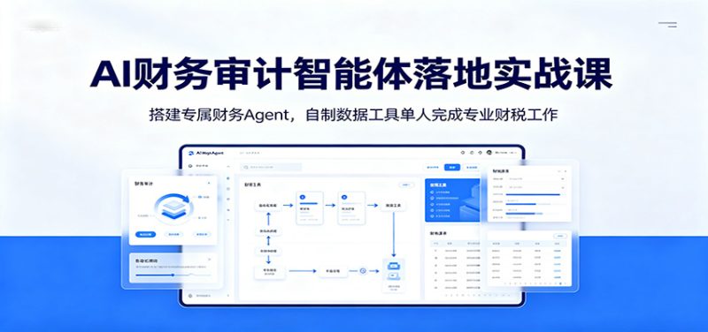 AI财务审计智能体落地实战课：搭建专属财务Agent，自制数据工具单人完成专业财税工作-大伟资源网