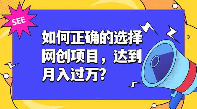 如何正确的选择网创项目，达到月入过万？，本课程教你正确选择项目。-大伟资源网