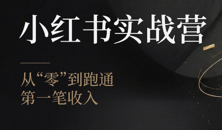 金金老师·小红书实战营-大伟资源网