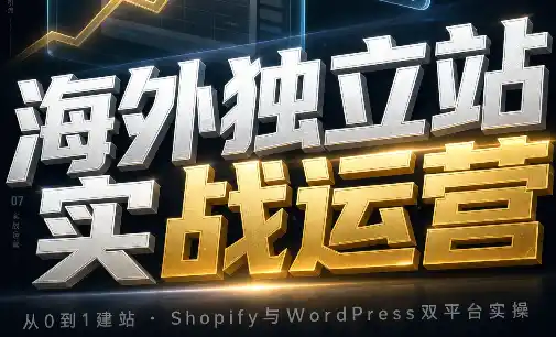 海外独立站实战运营-大伟资源网