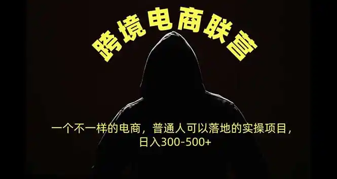 跨境电商联营，一个不一样的电商，普通人可操作日入300-500+-大伟资源网