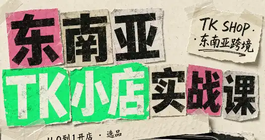 东南亚TK小店实战课(基础+进阶)-大伟资源网