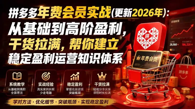 拼多多年费会员实战(更新1023-大伟资源网