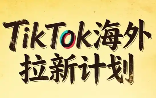 Tc联盟·TikTok海外拉新项目(更新9月)-大伟资源网