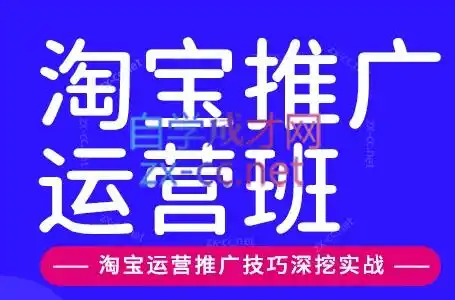 美迪电商·淘宝高级运营班+推广运营班(更新10月)-大伟资源网