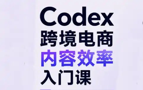 Codex跨境电商内容效率入门课-大伟资源网