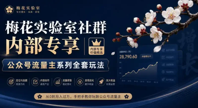 梅花实验室社群内部专享-公众号流量主系列全套玩法-大伟资源网