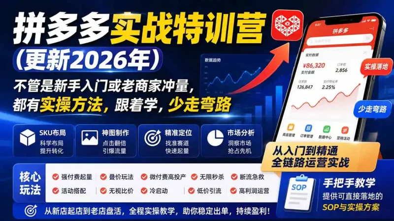 拼多多实战特训营(更新0920-大伟资源网