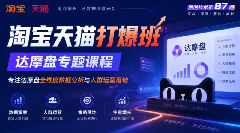 《淘宝天猫打爆班》原创技术第87期，达摩盘专题课程，专注达摩盘全维度数据分析与人群运营落地-大伟资源网