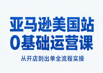 亚马逊美国站0基础运营课-大伟资源网