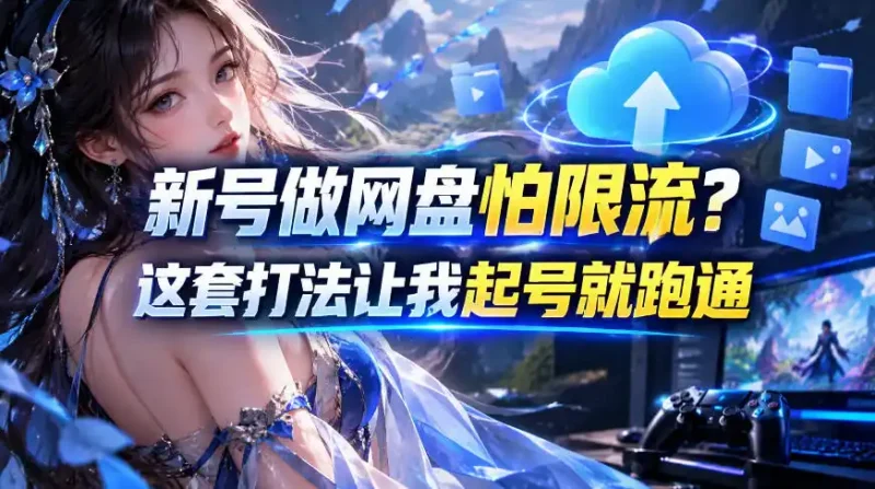 新号做网盘怕限流？这套打法让我起号就跑通，网盘项目推广的8.0版本教学-大伟资源网