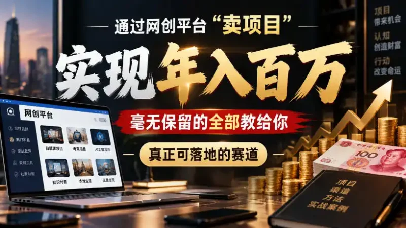 通过网创平台“卖项目”实现年入100w，毫无保留的全部教给你，真正可落地的赛道【揭秘】-大伟资源网