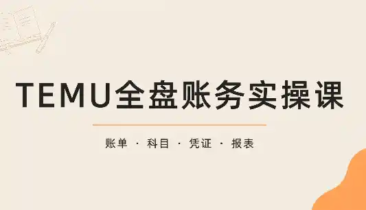 TEMU全盘账务实操课：账单导出、科目设置、利润核算-大伟资源网