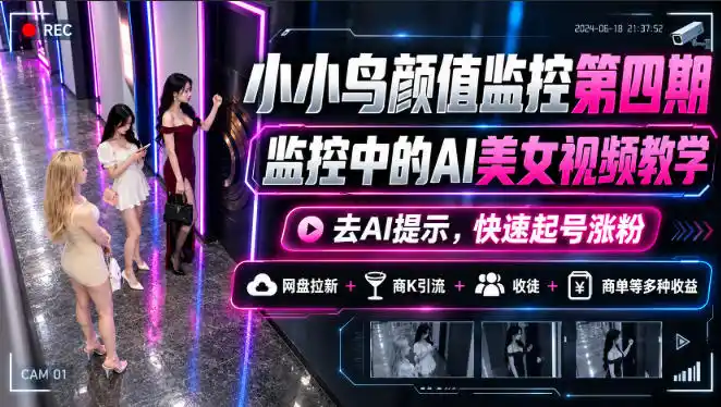 小小鸟颜值监控第四期，监控中的AI美女视频教学，去AI提示，快速起号涨粉，网盘拉新+商K引流+收徒+商单等多种收益-大伟资源网