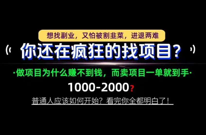 你还在疯狂的找项目？别傻了！卖项目才是真正的一本万利！怎么做，看完你全都明白！【揭秘】-大伟资源网