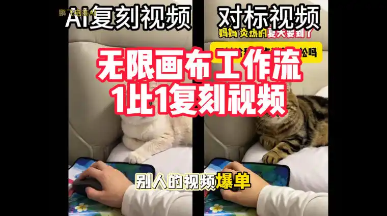 宠物带货视频复刻，无限画布工作流1比1，不用拍摄、不用布景、不用真人出镜，几分钟就能做出一条专业带货视频-大伟资源网