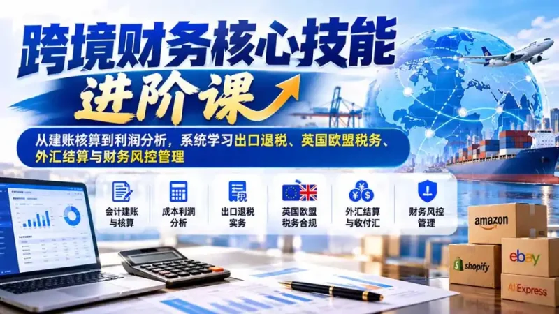 跨境财务核心技能进阶课：从建账核算到利润分析，系统学习出口退税、英国欧盟税务、外汇结算与财务风控管理-大伟资源网