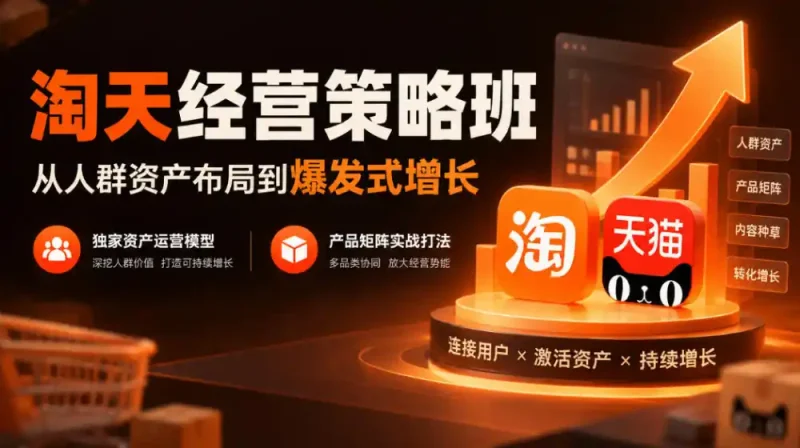 淘天经营策略班，从人群资产布局到爆发式增长，独家资产运营模型，产品矩阵实战打法(更新1019)-大伟资源网