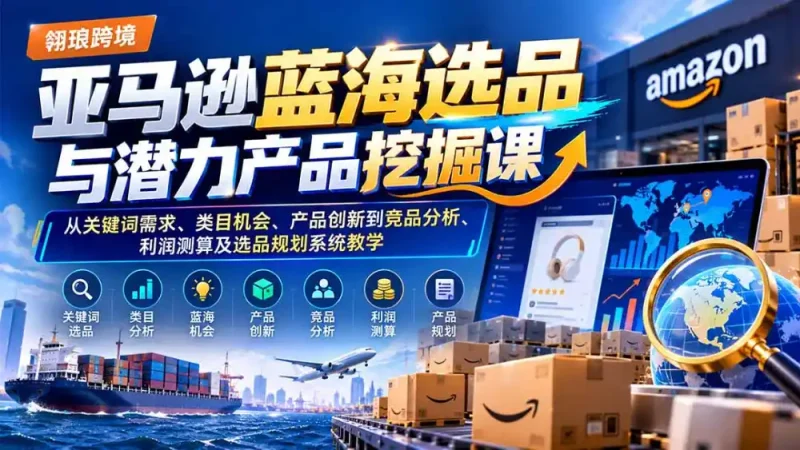 亚马逊蓝海选品与潜力产品挖掘课：从关键词需求、类目机会、产品创新到竞品分析、利润测算及选品规划系统教学-大伟资源网