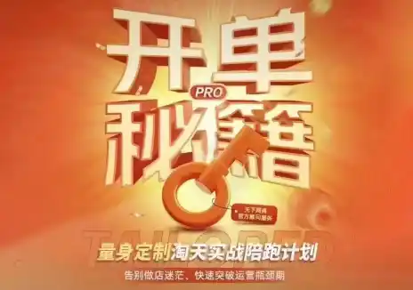 天下网商·淘宝天猫陪跑计划(更新10月)-大伟资源网